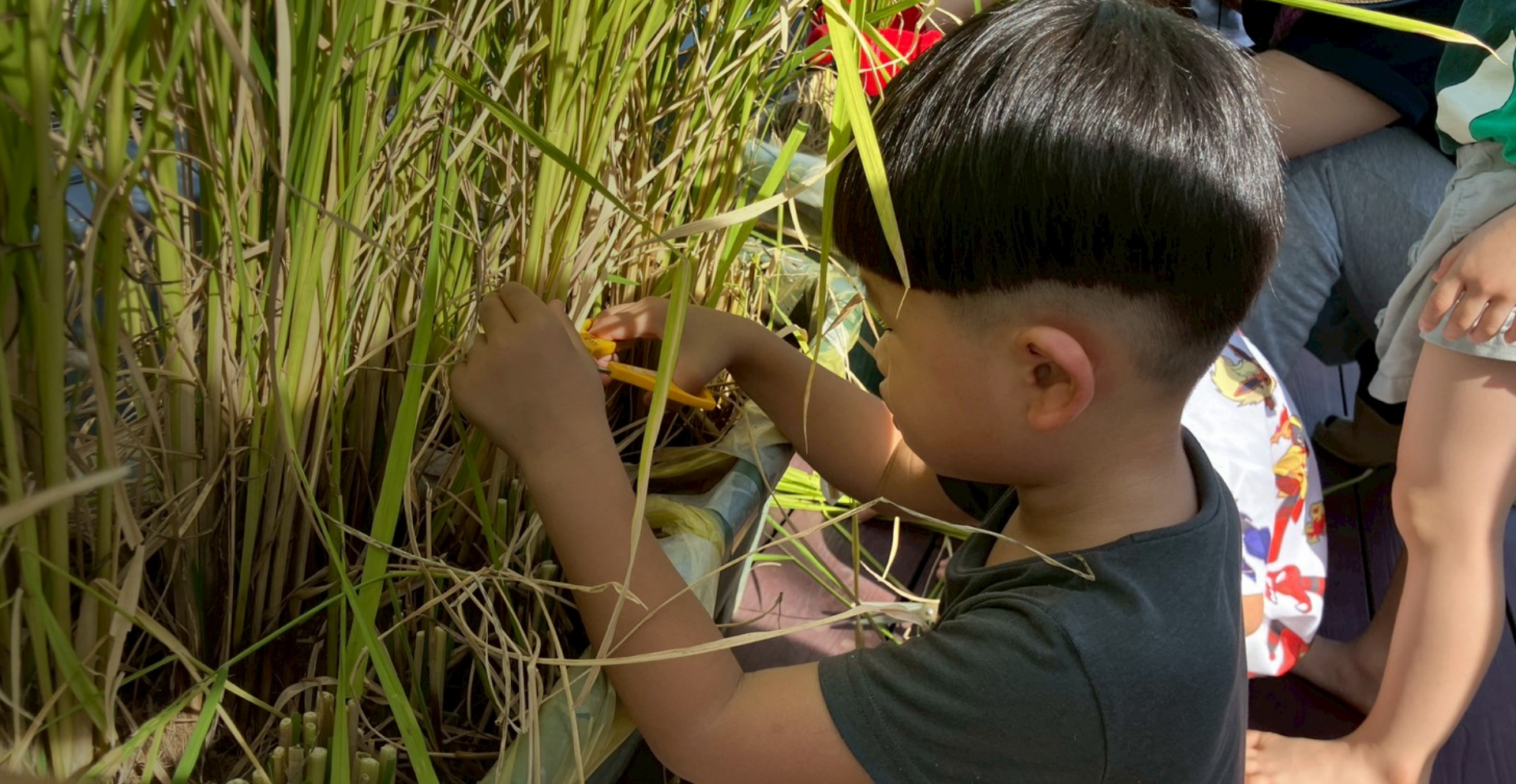 あいめいこども園 メインビジュアル